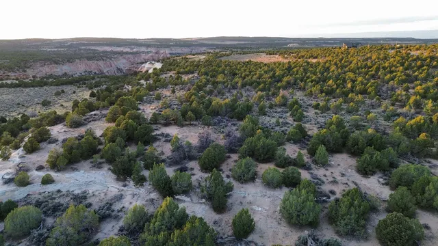 an aerial view of residential house with parking space and mountain view