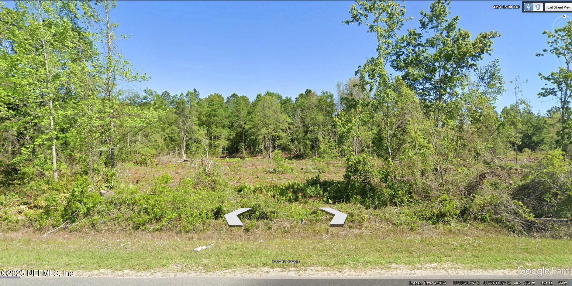 4302 County Road 218 Middleburg, FL 32068 - Photo 8 of 12 a view of a yard with plants and a bench