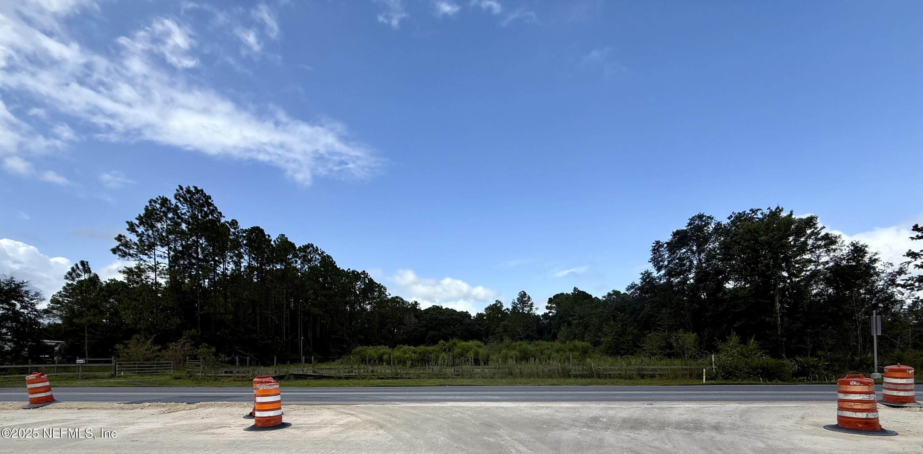 4302 County Road 218 Middleburg, FL 32068 - Photo 10 of 12 a view of outdoor space with garden and trees