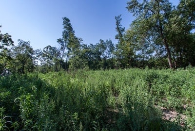 7 Acres On Park Road Iowa City, IA 52246 - Photo 27 of 30 Gallery Image 27