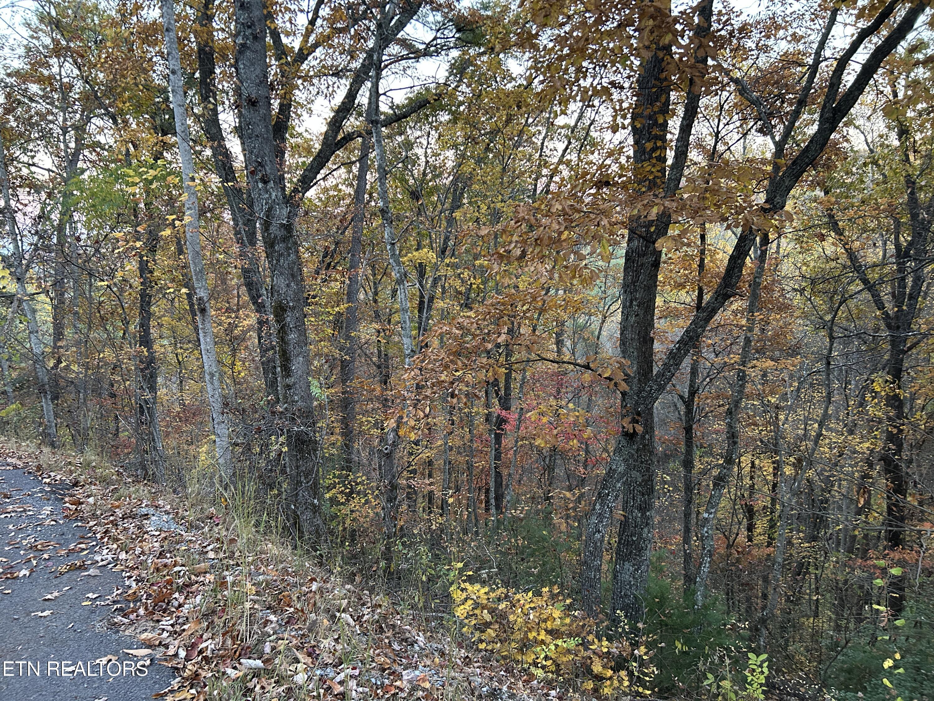 1-lot Sunset Road Sevierville, TN 37862 - Photo 2 of 6 IMG_3957