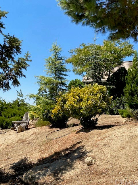 56810 Cain Road Anza, CA 92539 - Photo 37 of 48