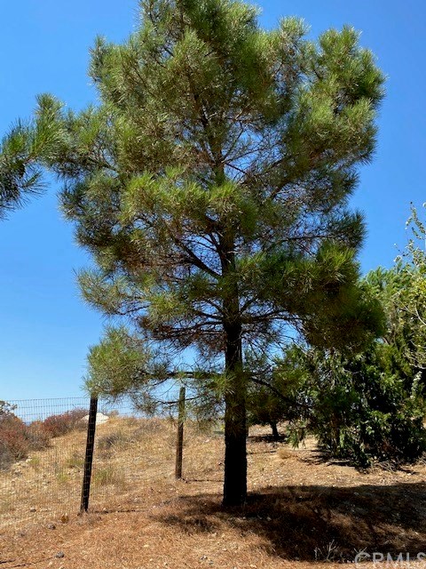 56810 Cain Road Anza, CA 92539 - Photo 39 of 48