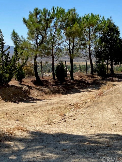 56810 Cain Road Anza, CA 92539 - Photo 44 of 48