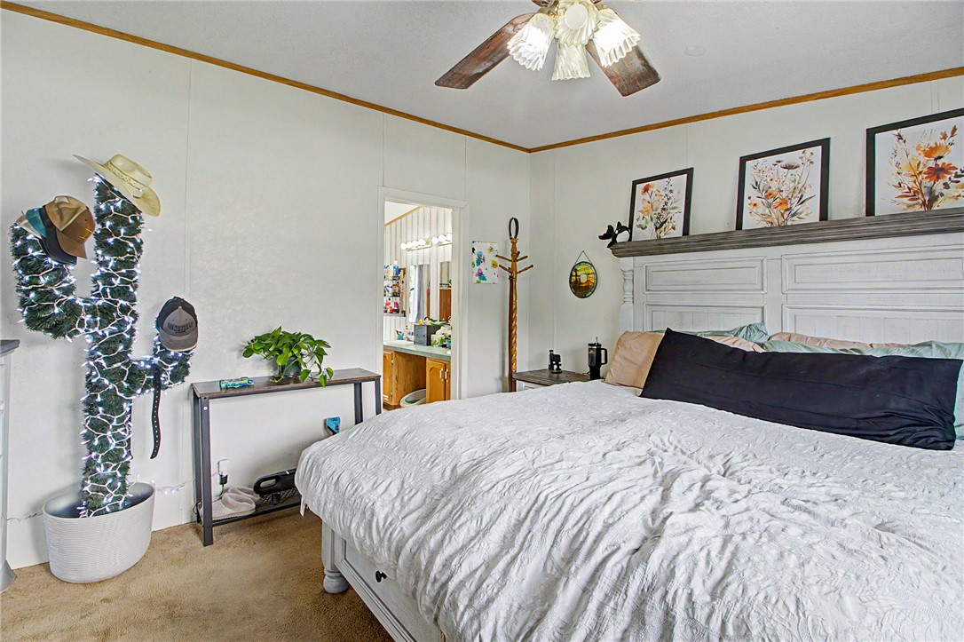 11576 Carter Lane Bryan, TX 77808 - Photo 39 of 50 a bedroom with a large bed and a potted plant
