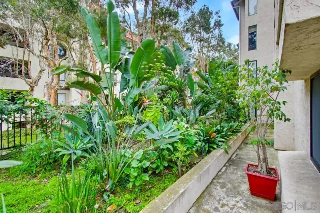 a view of a potted plants next to a wall
