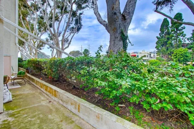 a view of a garden with plants
