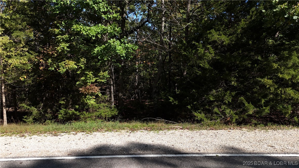 Lot 34 West Kays Point Road Four Seasons, MO 65049 - Photo 5 of 6