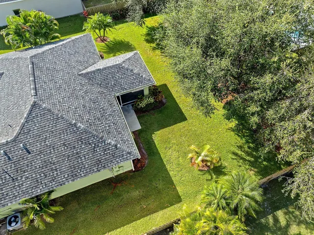 a view of a yard with plants