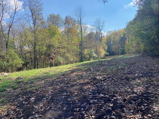 881 Galbraith Road Brooksville, KY 41004 - Photo 2 of 5