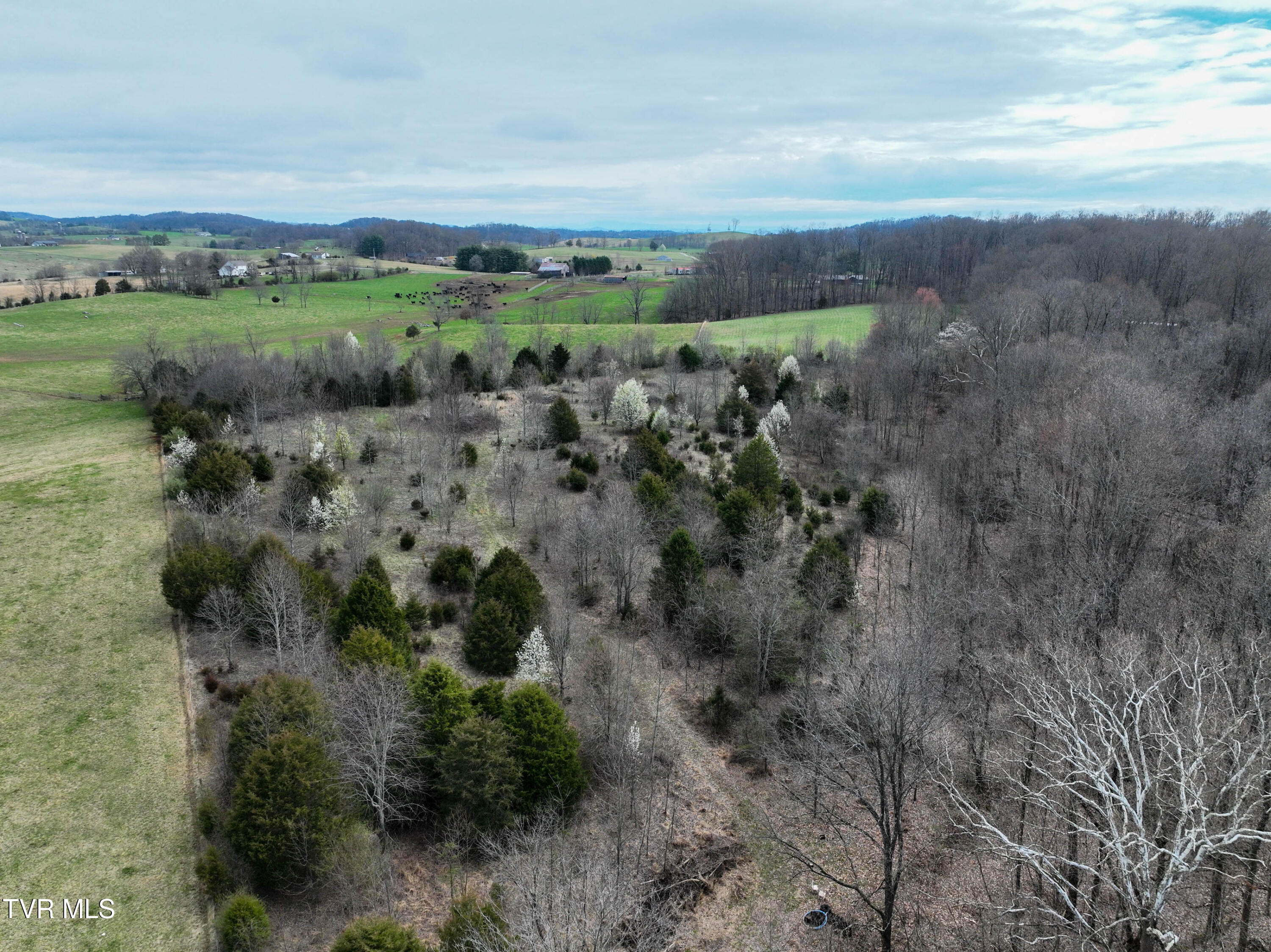 955 Old Hall Road, Unit 1 Chuckey, TN 37641 - Photo 15 of 20 955 Old Hall Rd Drone TROY-11