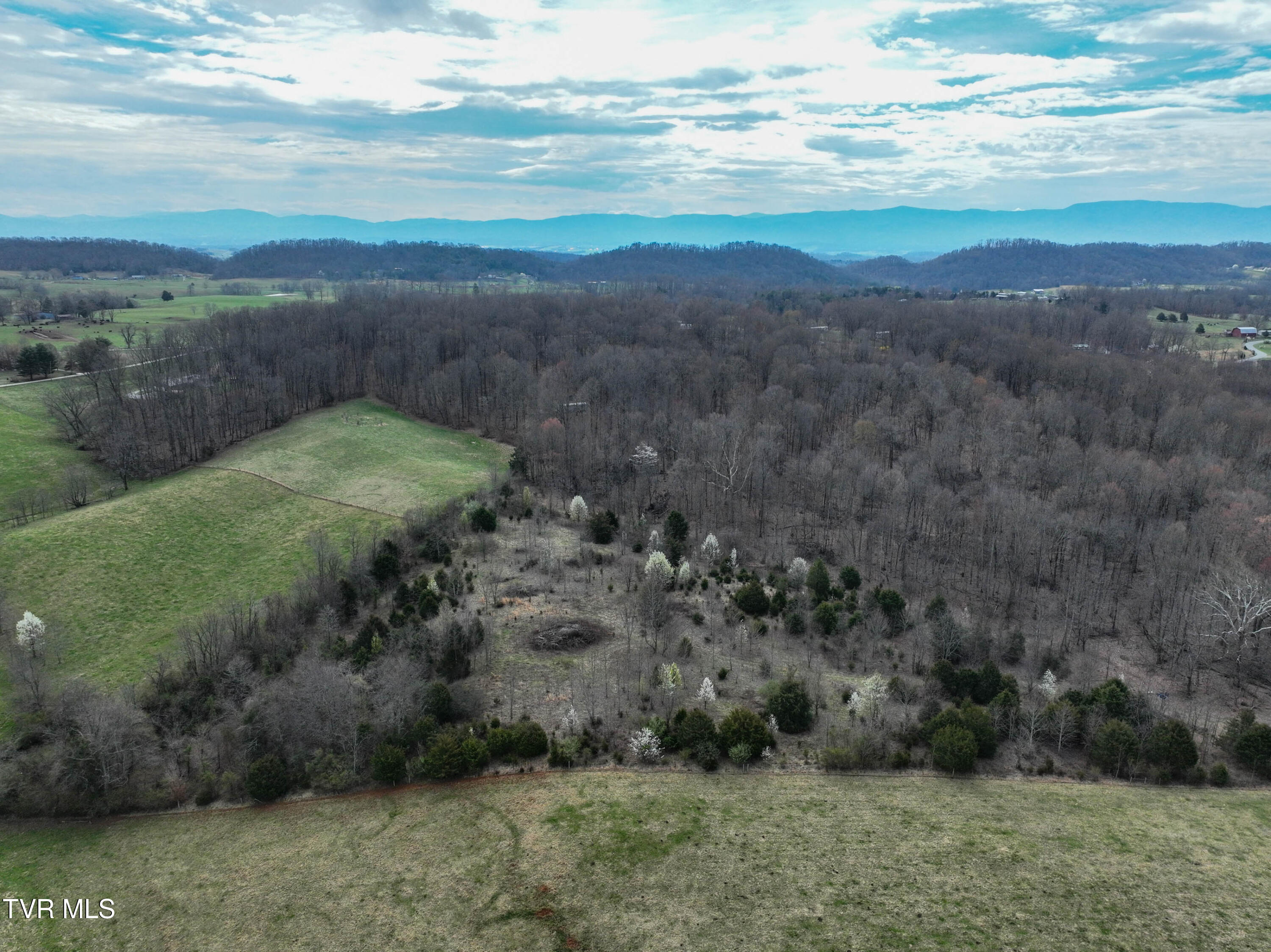 955 Old Hall Road, Unit 1 Chuckey, TN 37641 - Photo 16 of 20 955 Old Hall Rd Drone TROY-10