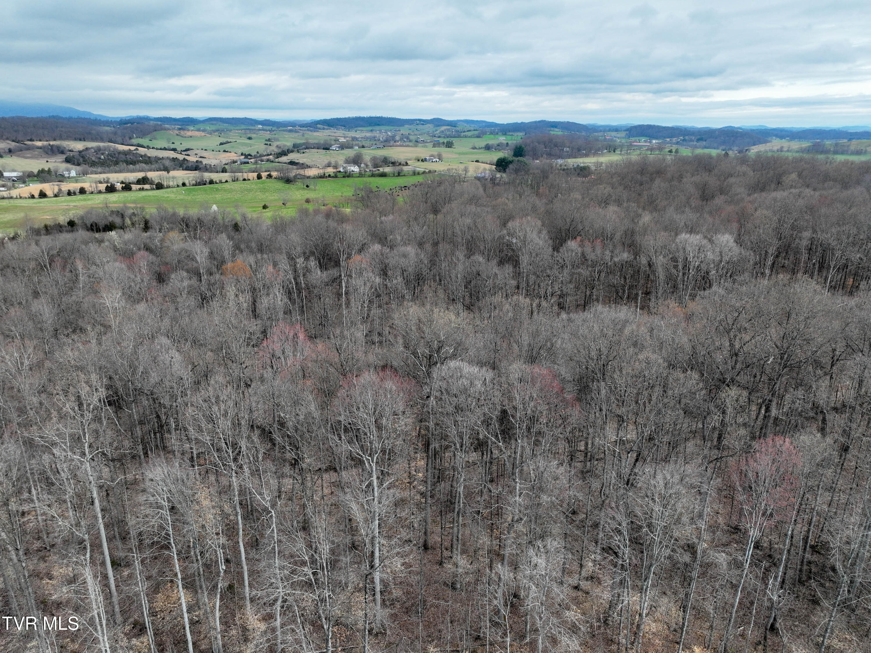 955 Old Hall Road, Unit 1 Chuckey, TN 37641 - Photo 7 of 20 955 Old Hall Rd Drone TROY-14
