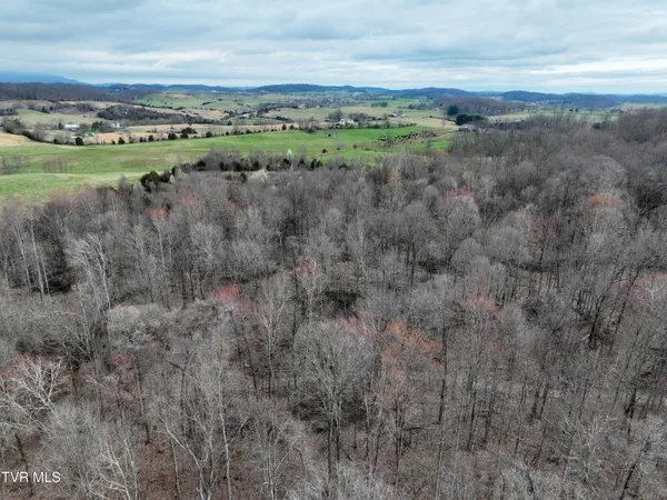 $380,000 | 955 Old Hall Road, Unit 1, Chuckey, TN 37641