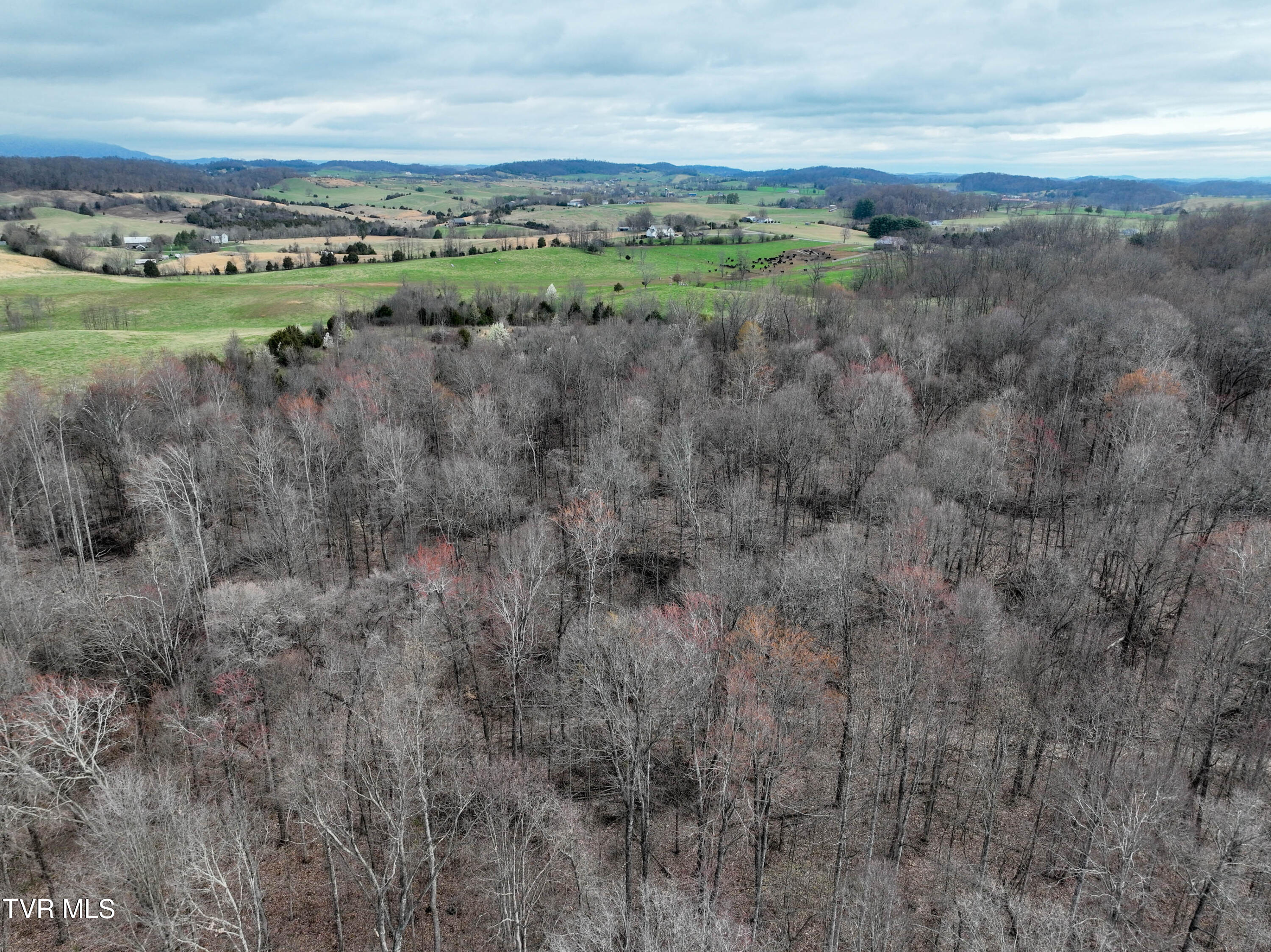 955 Old Hall Road, Unit 1 Chuckey, TN 37641 - Photo 8 of 20 955 Old Hall Rd Drone TROY-13