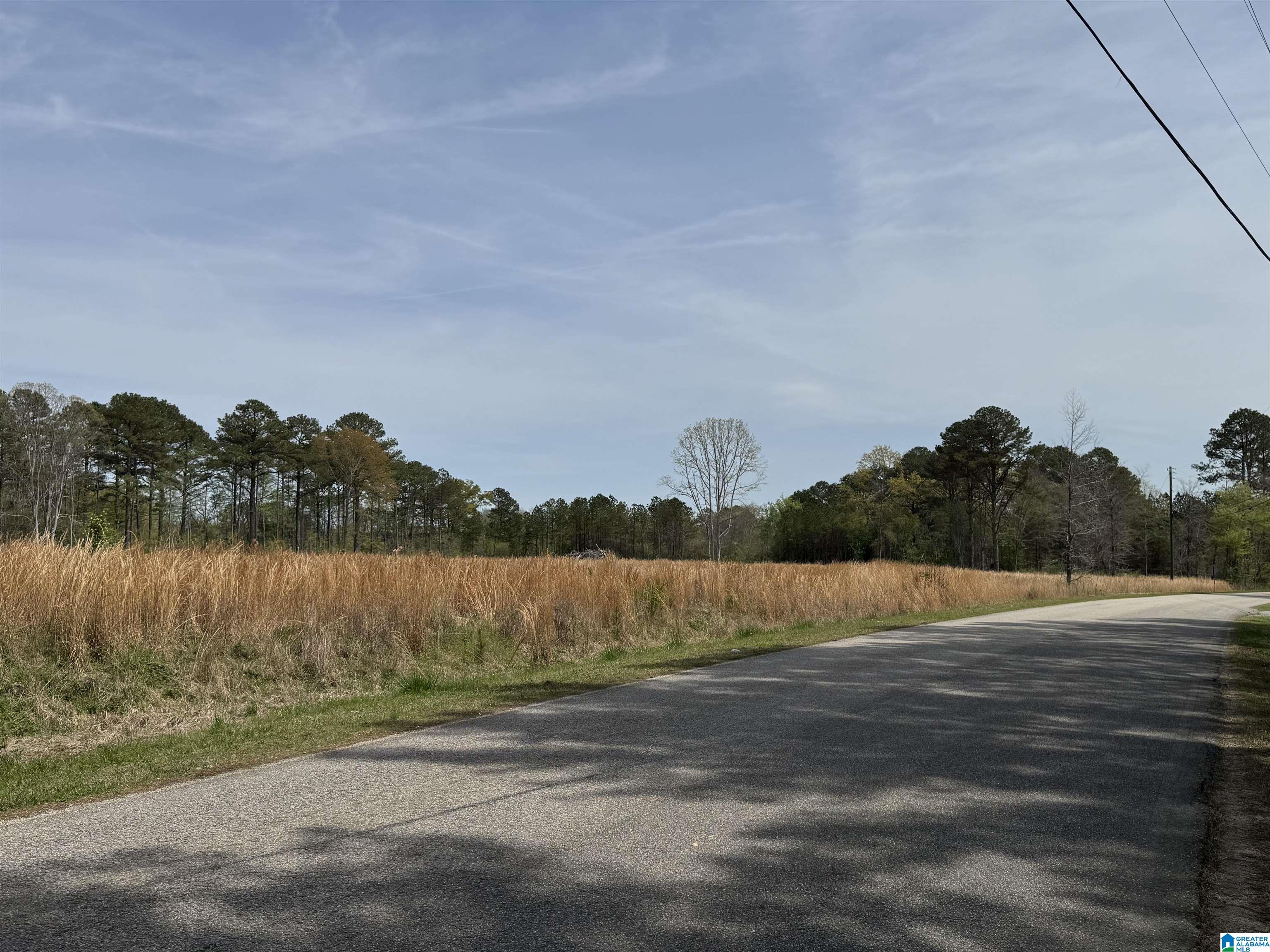 0 Greensport Road Ashville, AL 35953 - Photo 32 of 43