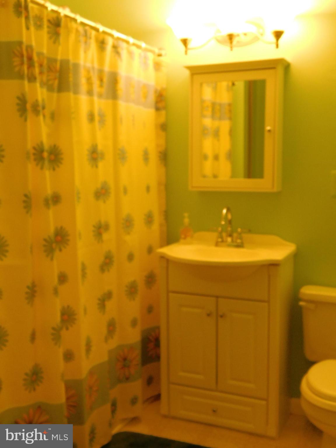 2431 Island Branch Road White Hall, MD 21161 - Photo 21 of 33 Hall Bathroom
