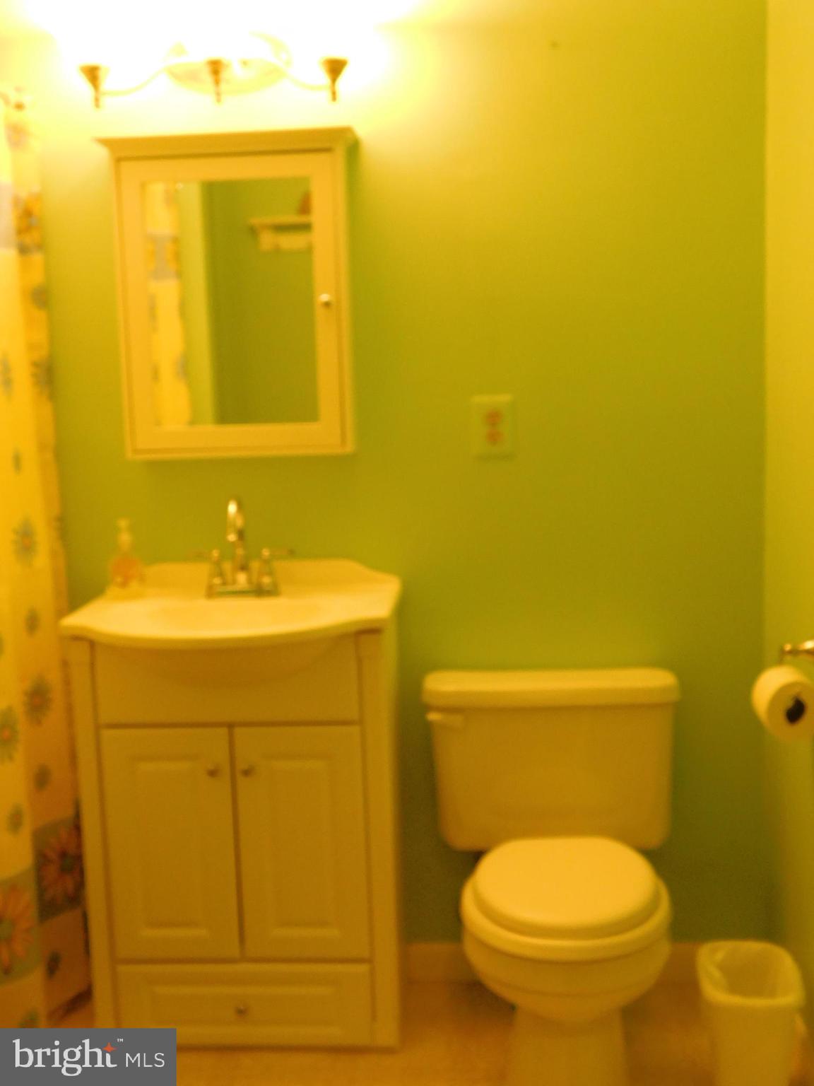 2431 Island Branch Road White Hall, MD 21161 - Photo 22 of 33 Hall Bathroom
