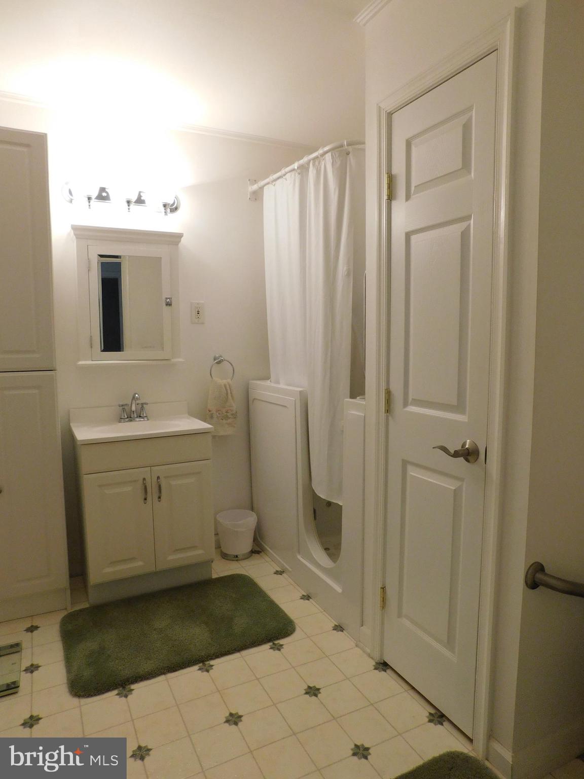 2431 Island Branch Road White Hall, MD 21161 - Photo 31 of 33 In-Law Suite - Bathroom