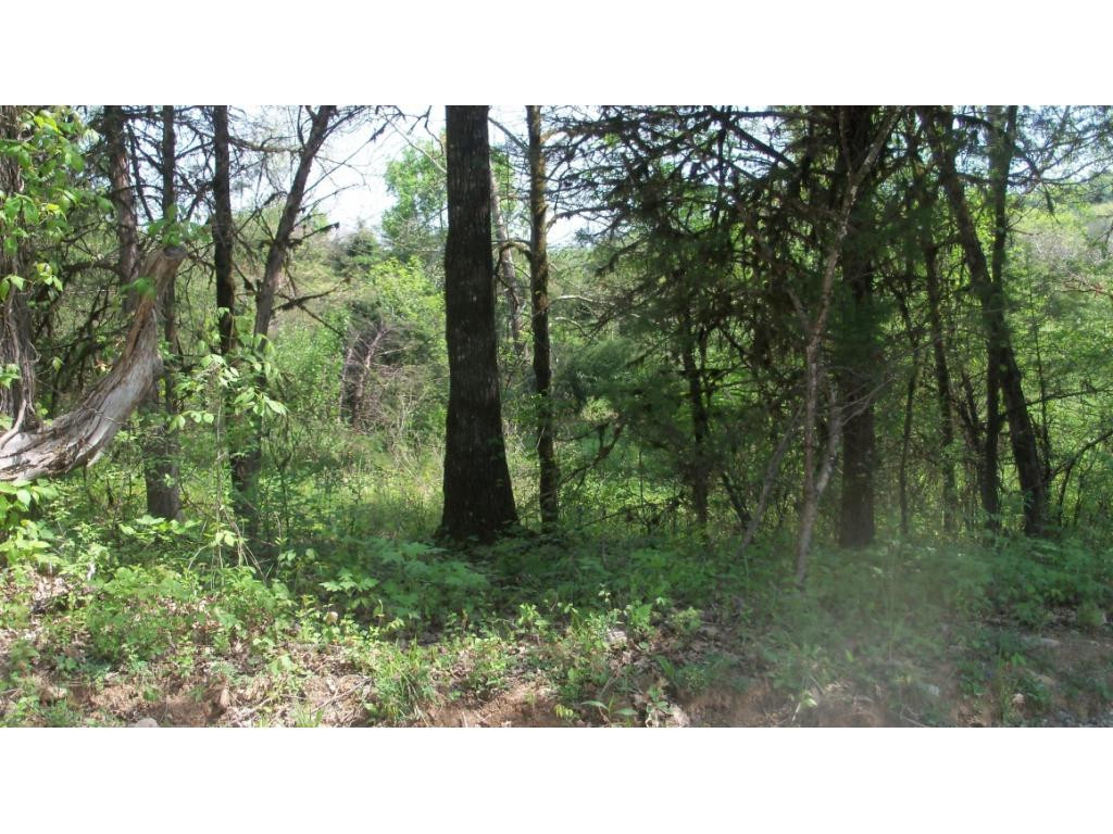 0 Mill Creek Road Duffield, VA 24244 - Photo 3 of 5 Photo 3