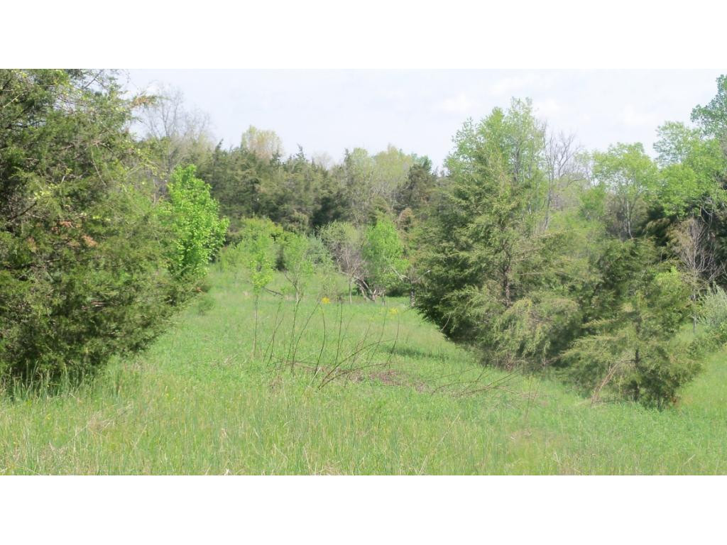 0 Mill Creek Road Duffield, VA 24244 - Photo 4 of 5 Photo 4
