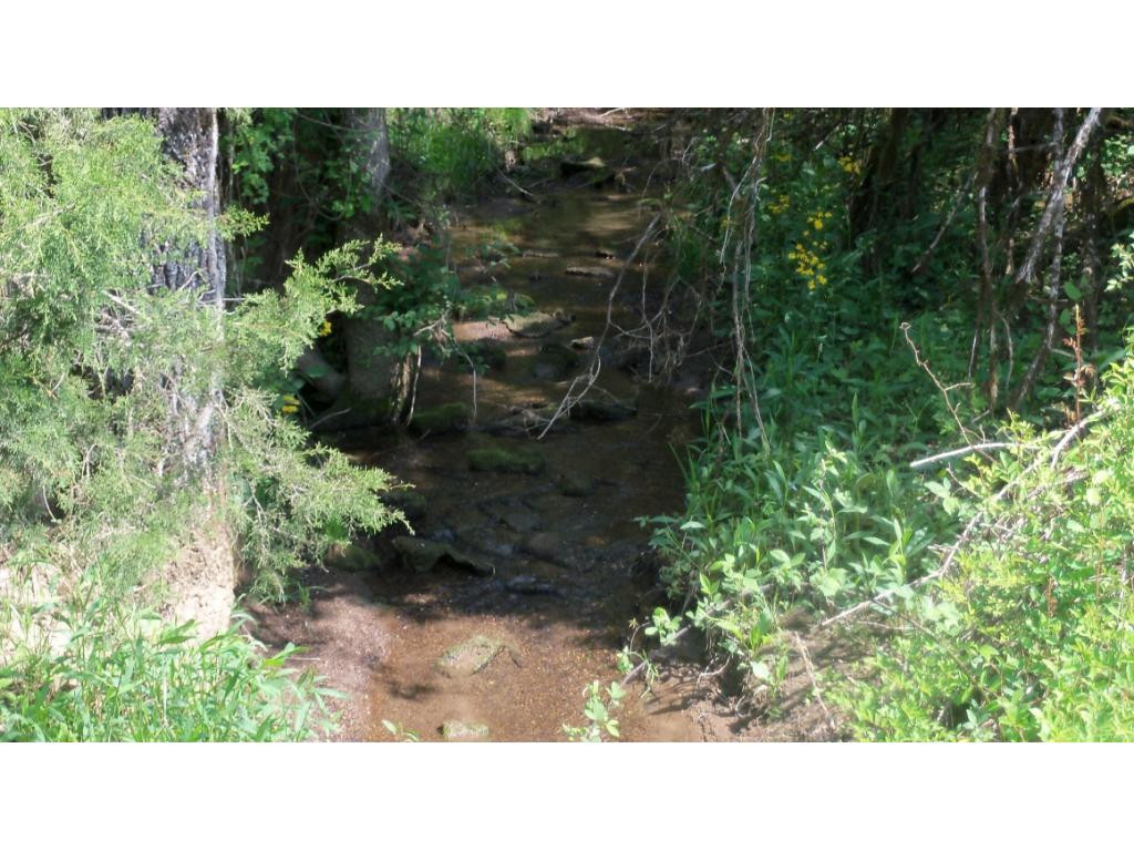 0 Mill Creek Road Duffield, VA 24244 - Photo 5 of 5 Photo 5