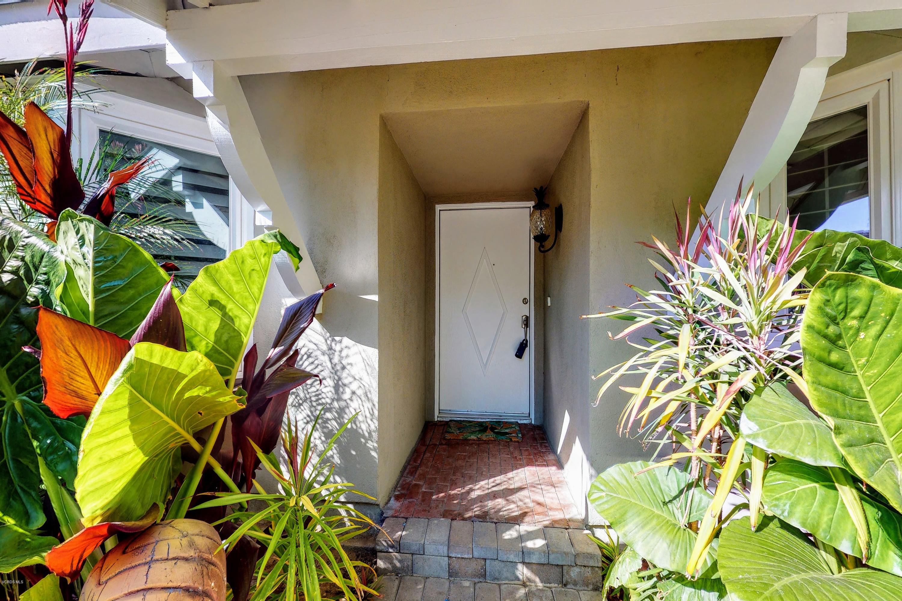 2298 Copley Street Simi Valley, CA 93063 - Photo 46 of 51 a view of a plant
