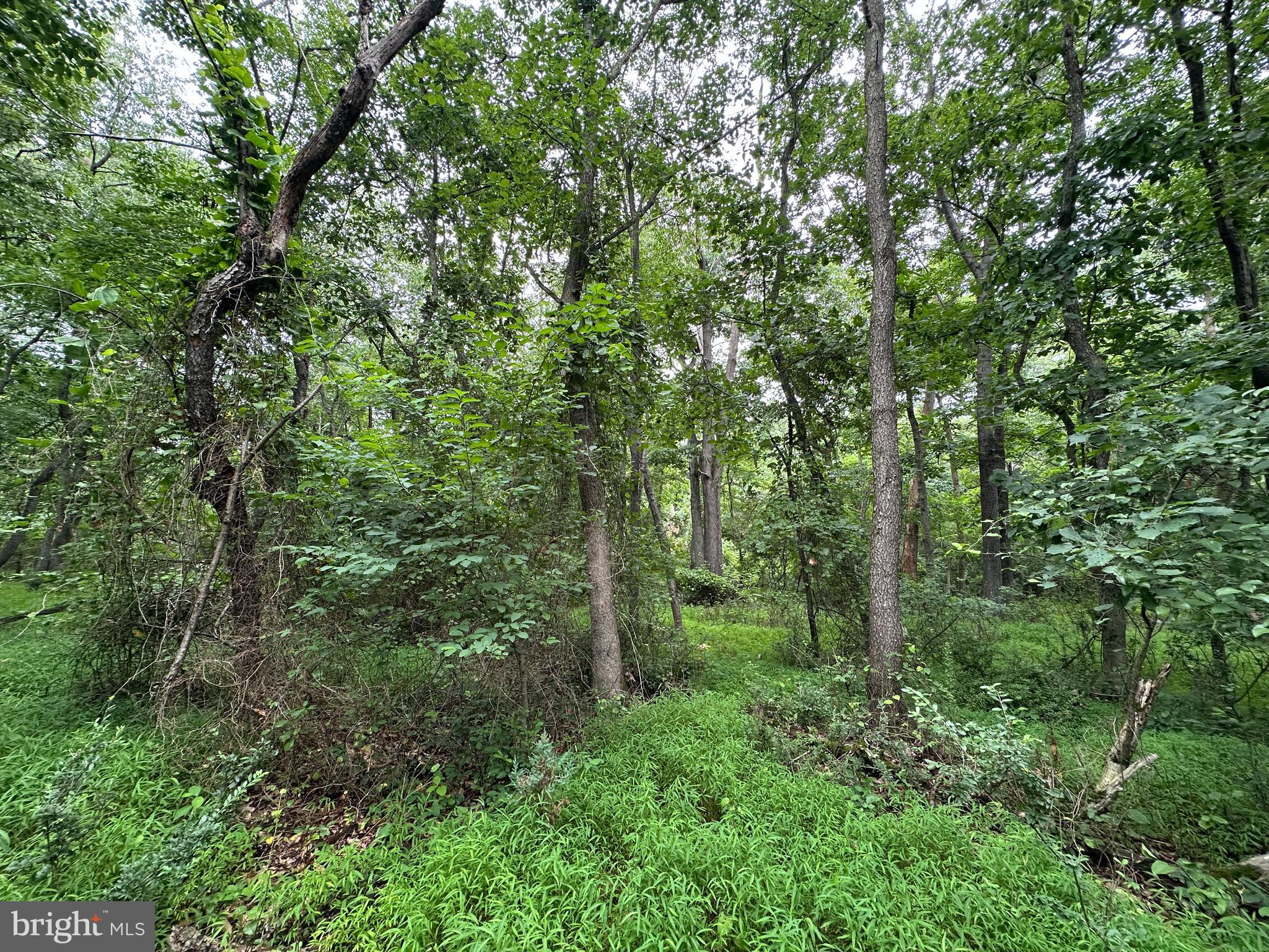9-acres Polidor Road Waynesboro, PA 17268 - Photo 17 of 20