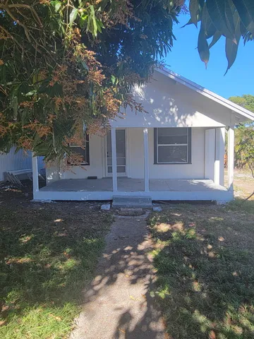 a view of a yard with plants and a tree