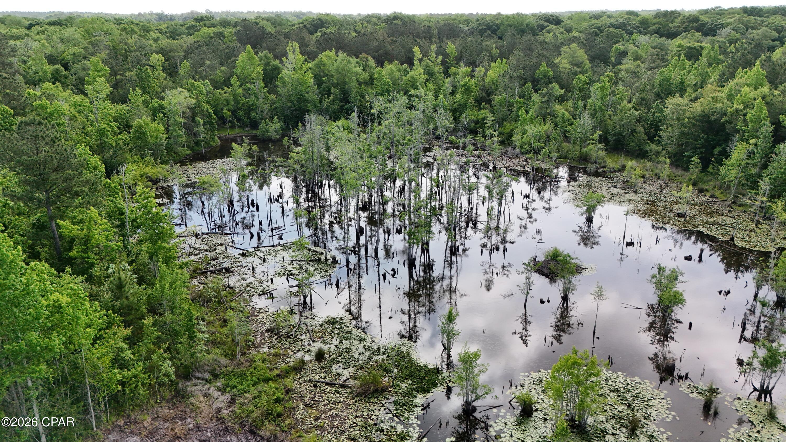 Xx Jj Whitaker Road Bonifay, FL 32425 - Photo 9 of 11