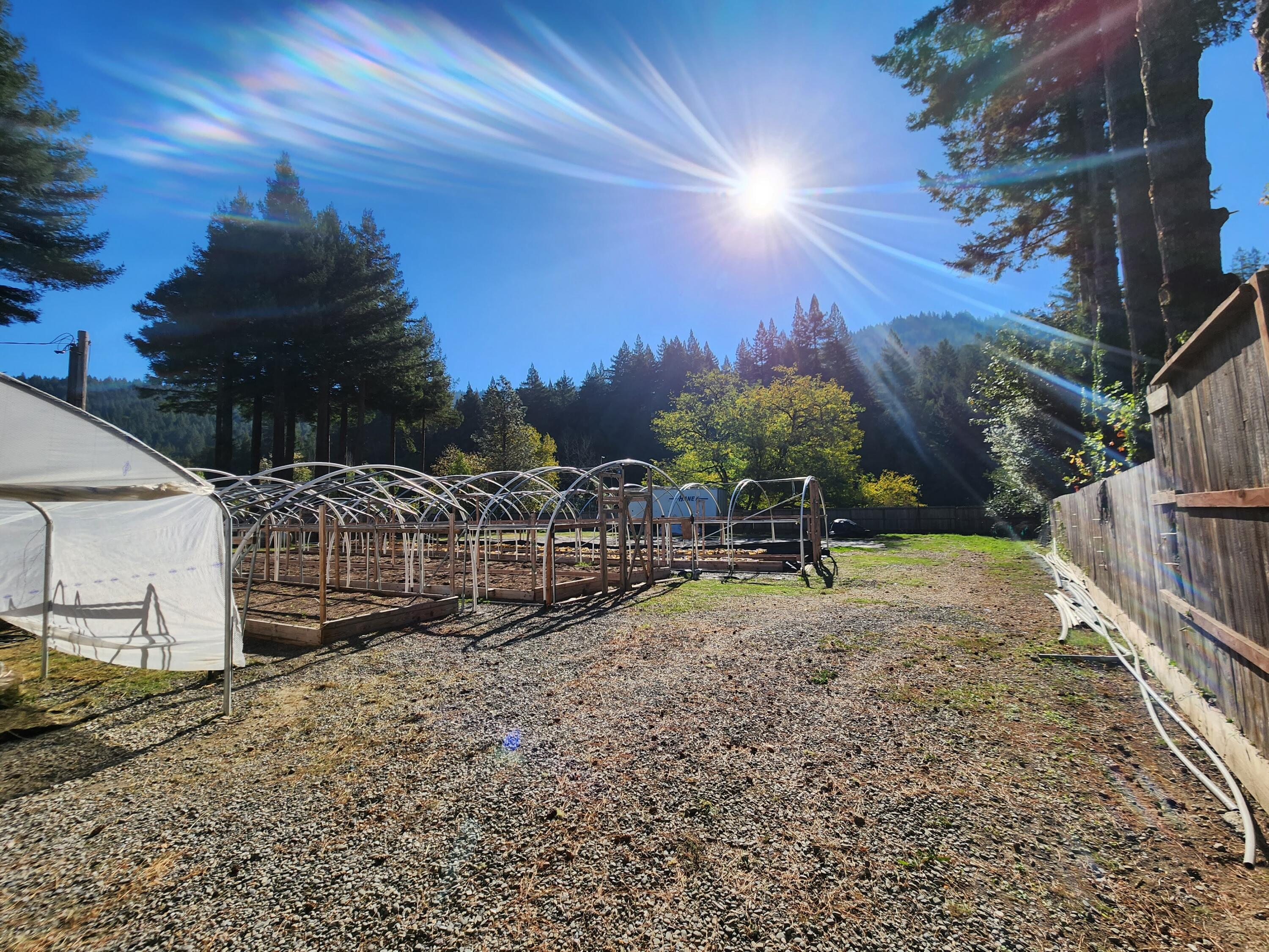 679 Bout Scout Road Myers Flat, CA 95554 - Photo 11 of 20
