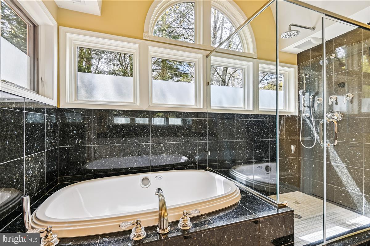 19 Roland Court Towson, MD 21204 - Photo 34 of 64 Spa Tub