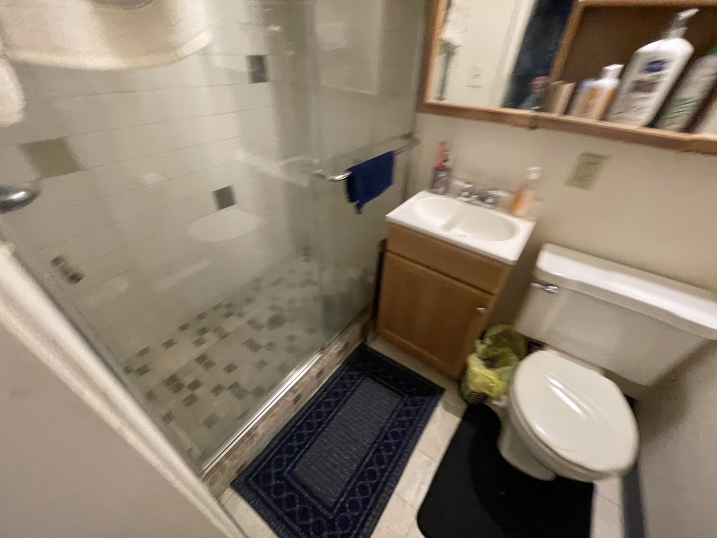 1013 West Church Street Champaign, IL 61821 - Photo 11 of 14 a bathroom with a sink and toilet