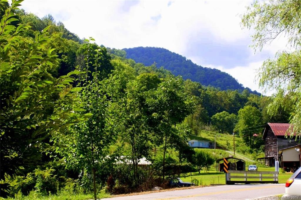 100 Fred Holcombe Road Mars Hill, NC 28754 - Photo 14 of 22 Gallery Image 14