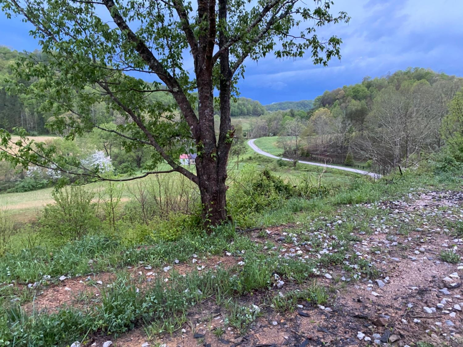 1 Powell Branch Road Bimble, KY 40915 - Photo 4 of 5 Photo 4