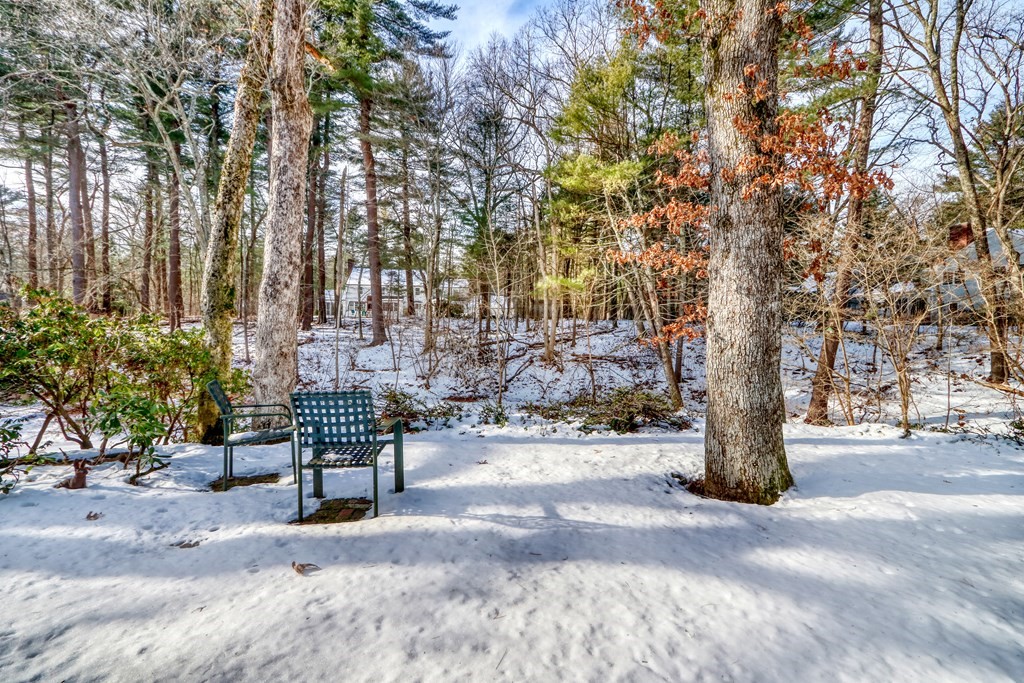 90 Cherry Brook Road Weston, MA 02493 - Photo 26 of 31 Gallery Image 26
