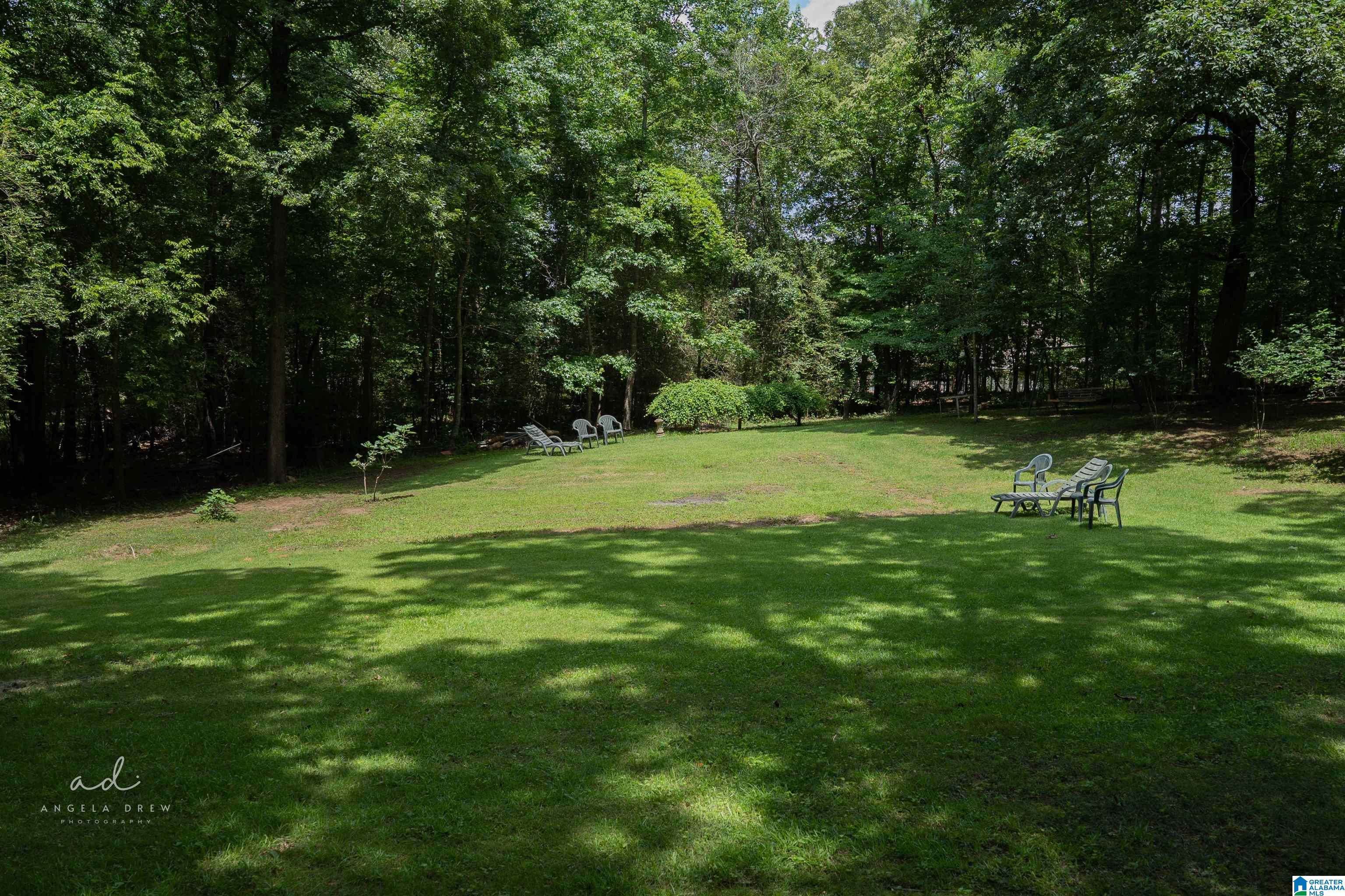 5539 Coleman Lake Road McCalla, AL 35111 - Photo 20 of 100