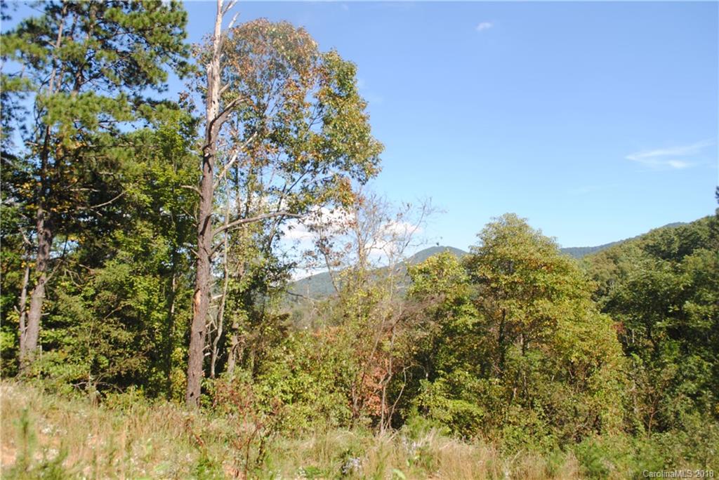 390 Abbott Road, Unit 2 Canton, NC 28716 - Photo 3 of 10 a view of a bunch of trees