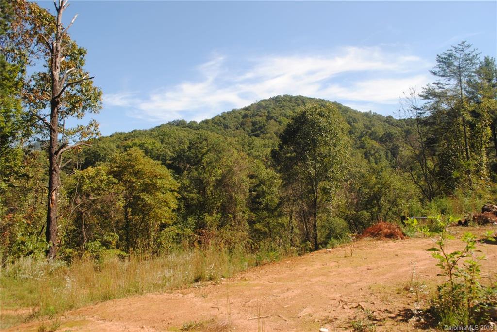 390 Abbott Road, Unit 2 Canton, NC 28716 - Photo 8 of 10 a view of a yard