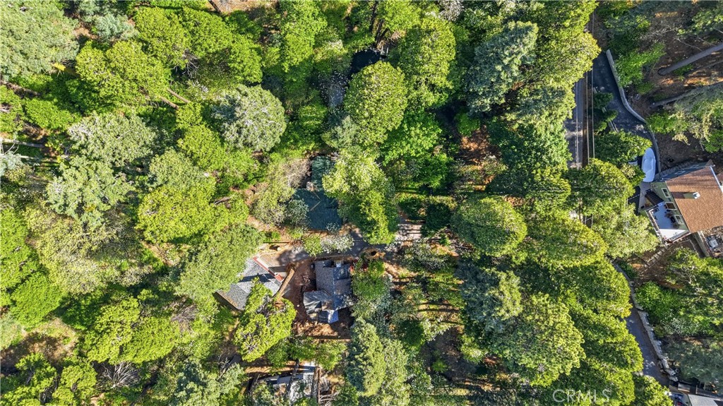 815 Cottage Grove Road Lake Arrowhead, CA 92352 - Photo 43 of 46 a view of a tree