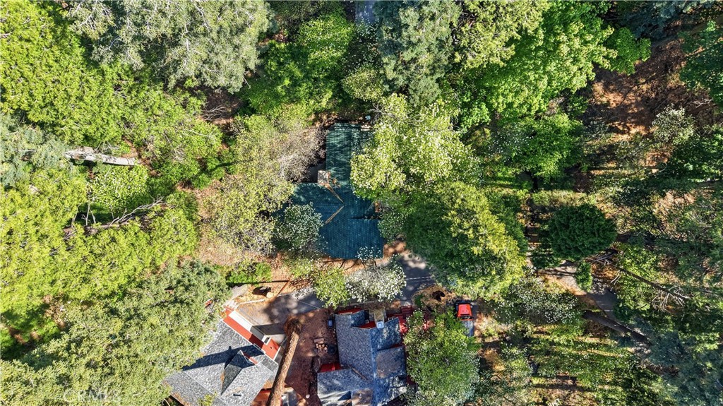 815 Cottage Grove Road Lake Arrowhead, CA 92352 - Photo 44 of 46 a view of a garden with plants