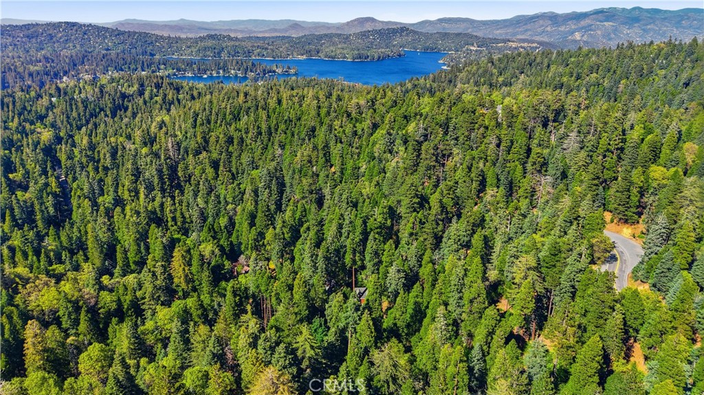 815 Cottage Grove Road Lake Arrowhead, CA 92352 - Photo 45 of 46 a view of a lush green field with a mountain in the background