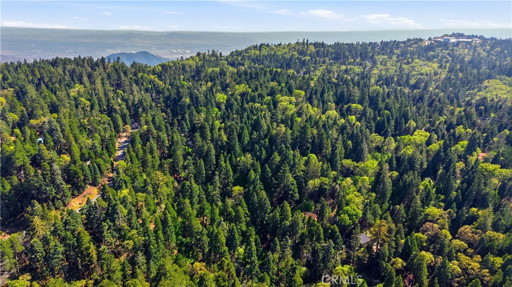 815 Cottage Grove Road Lake Arrowhead, CA 92352 - Photo 46 of 46 a view of a city