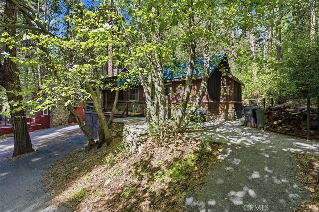 815 Cottage Grove Road Lake Arrowhead, CA 92352 - Photo 6 of 46 a view of a yard with plants and trees