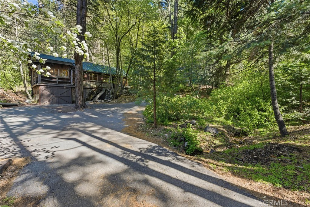 815 Cottage Grove Road Lake Arrowhead, CA 92352 - Photo 8 of 46 a view of a street with a tree