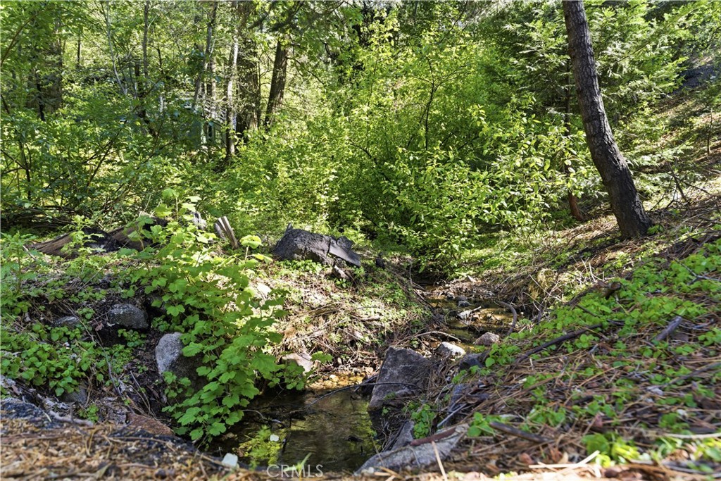 815 Cottage Grove Road Lake Arrowhead, CA 92352 - Photo 9 of 46 a view of a lush green forest