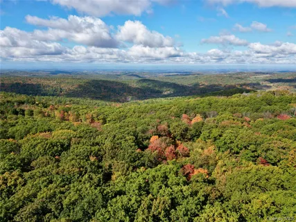 a view of a bunch of trees