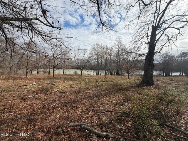 $15,000 | Lakeshore Drive Street, Itta Bena, MS 38941