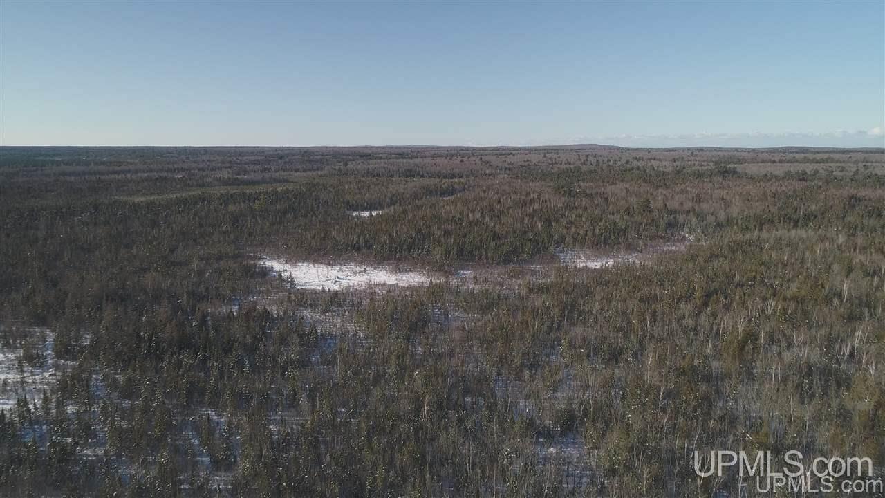 80-acres Co Rd N415 McMillan, MI 49853 - Photo 20 of 36