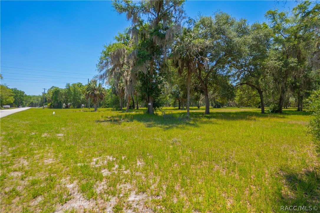 20 Cove Road Inglis, FL 34449 - Photo 4 of 18